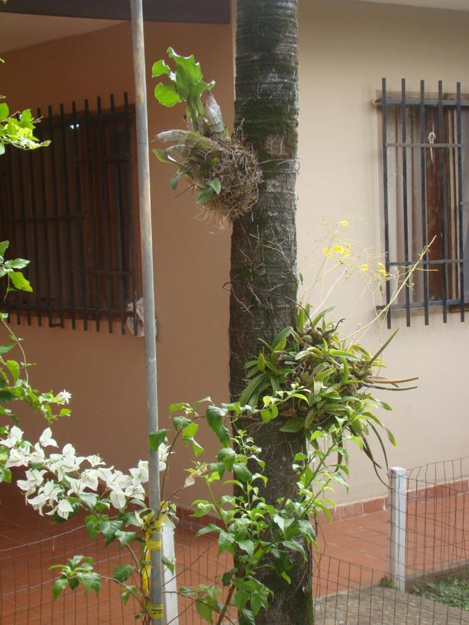 הוסטל סנטה קרוז דה לה סיירה Sur Backpackers מראה חיצוני תמונה